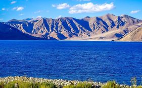 Astrostays At Pangong